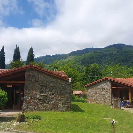 Chalets A 10 Minutes De Foix Mercus-Garrabet Dış mekan fotoğraf